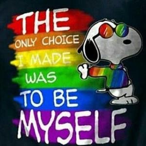 Meet your Posher, David j